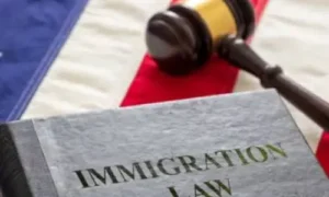 Texas SB4: Supreme Court Halts Controversial Immigration Law