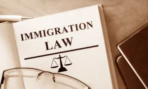 Overcoming Deportation Challenges in Texas