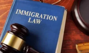 What Issues Will Be Addressed in an Immigration Bond Hearing?