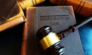 Tips for Preparing for Your Immigration Court Date