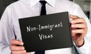 Types of Non-Immigrant Visas: A Guide for Foreign Workers