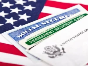 The Path to a Green Card for Domestic Violence Victims